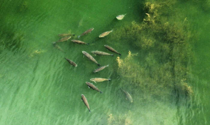 Jurassik Carp ResortFrom £300